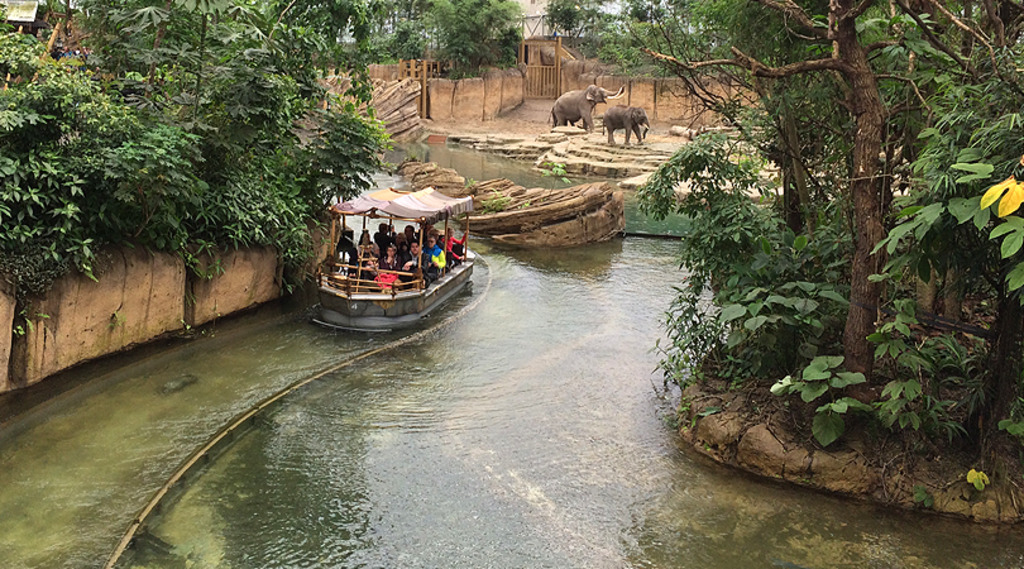 Go on safari in Wildlands Adventure Zoo Emmen (15 km)