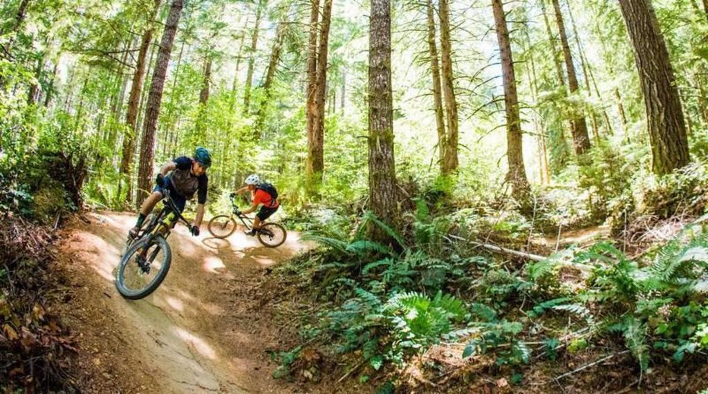 ATB-trails start at Gasselterveld