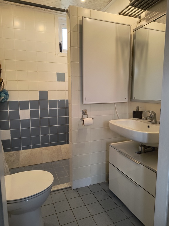 Downstairs bathroom with shower