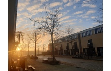 Our street