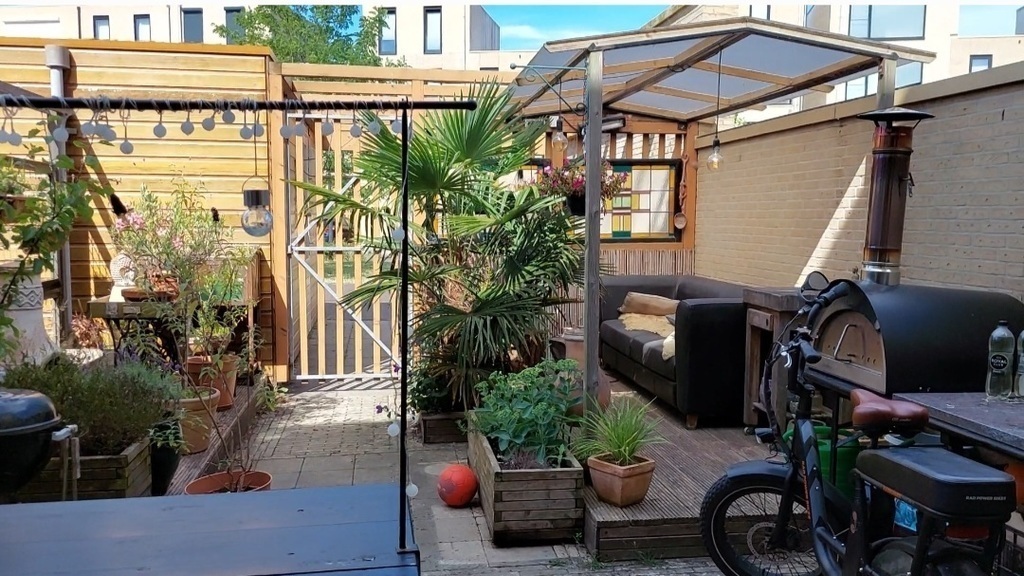 Our garden