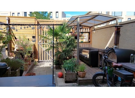 Our garden