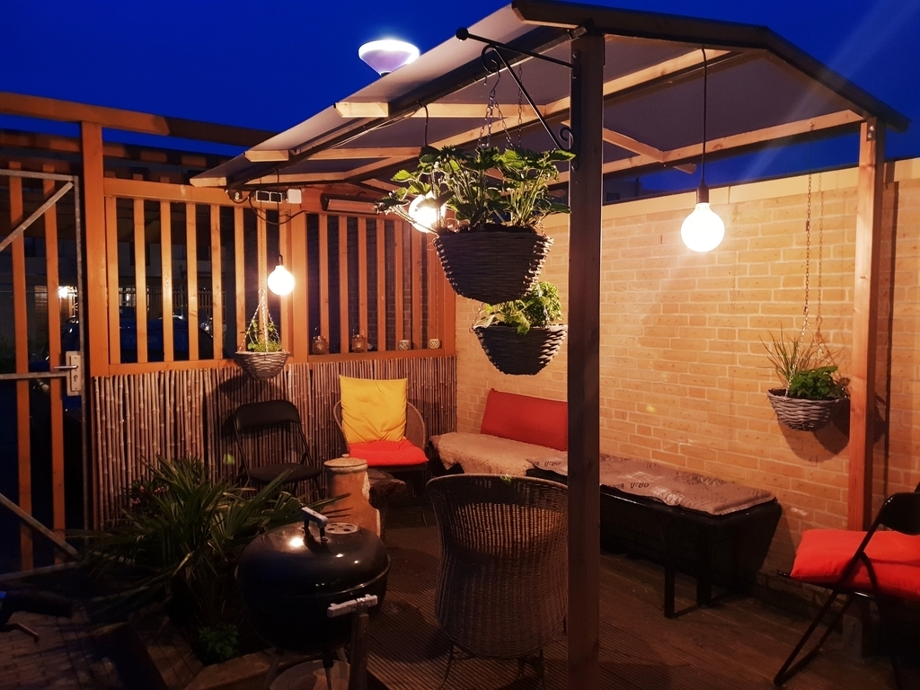 the garden at night