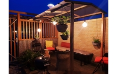 the garden at night