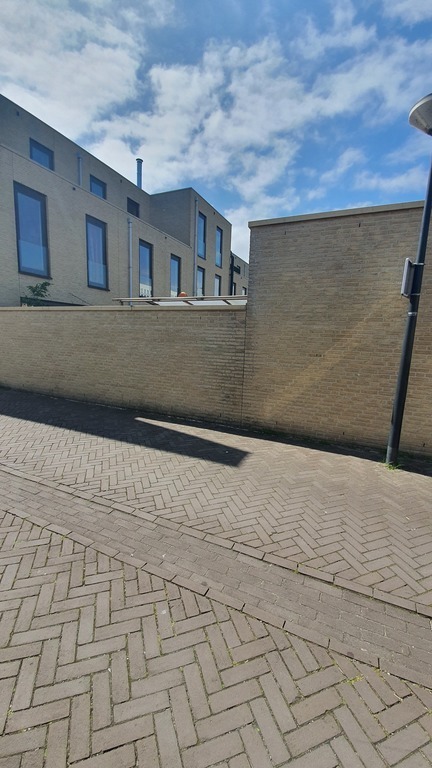 Our block