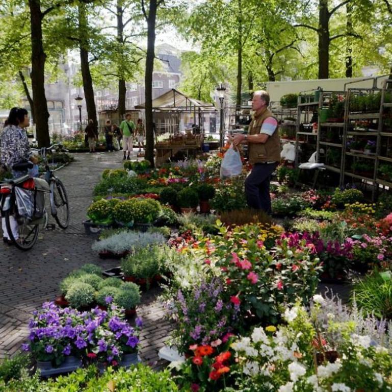 Visit the bloemenmarkt (flowermarket)in Utrecht on a Saturday