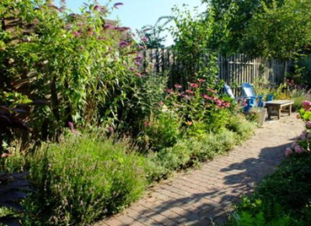 Our garden with apple-trees, walnut-tree, herbs, etc. ...