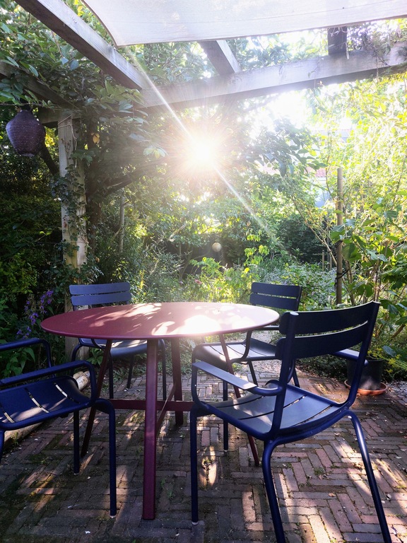 Our garden