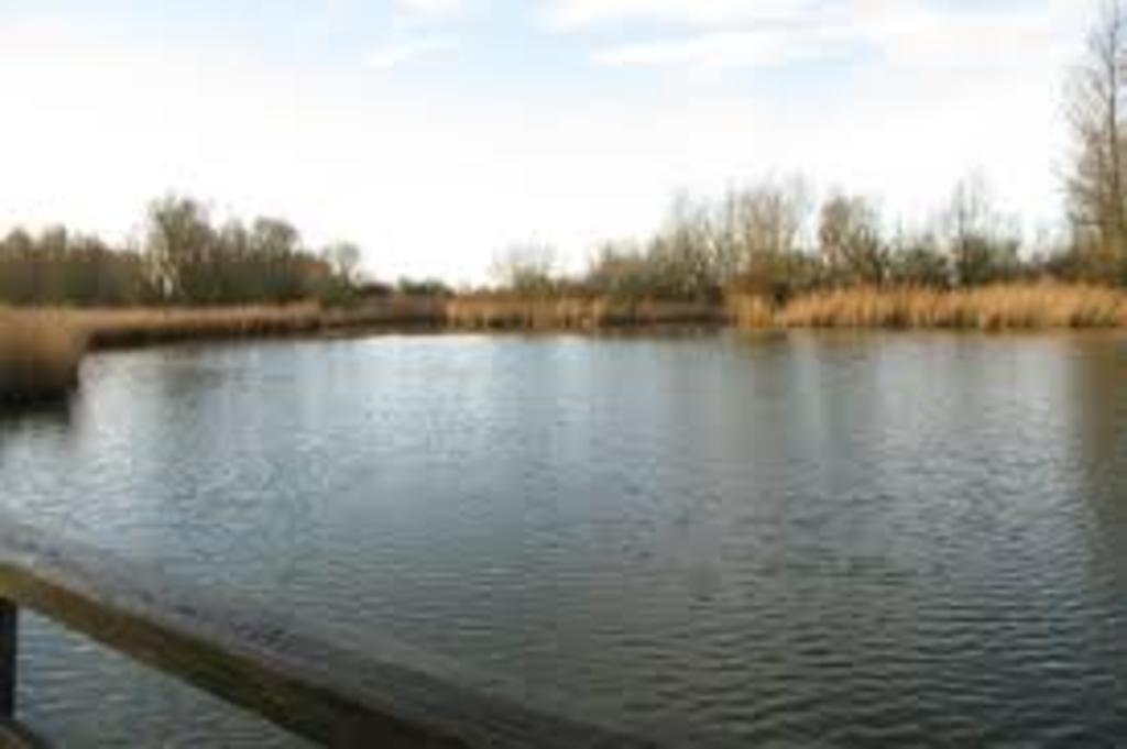 walking in nature oostvaardersplassen