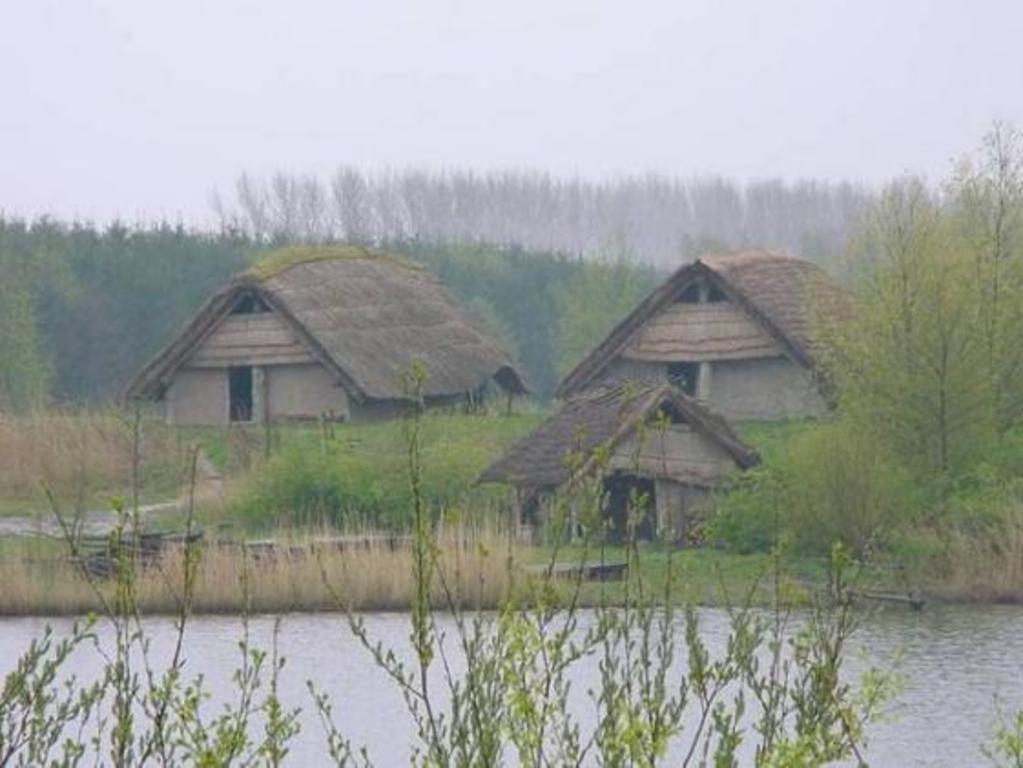 Typicly 'Plaggenhutten' in 'Natuurpark'