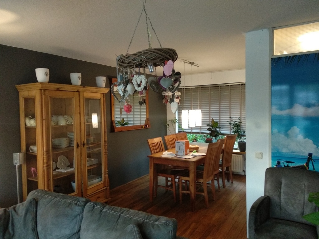 livingroom and 2nd dinertable