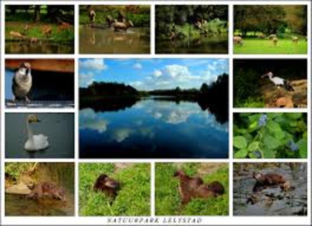 natuurpark lelystad