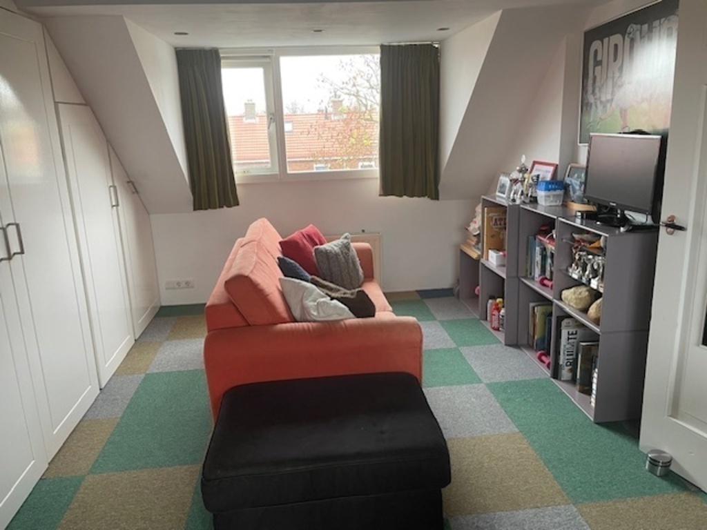 Sleeping couch in attic room