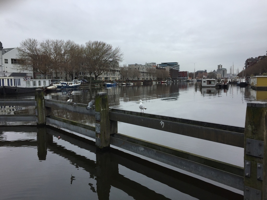 Looking at our apartment