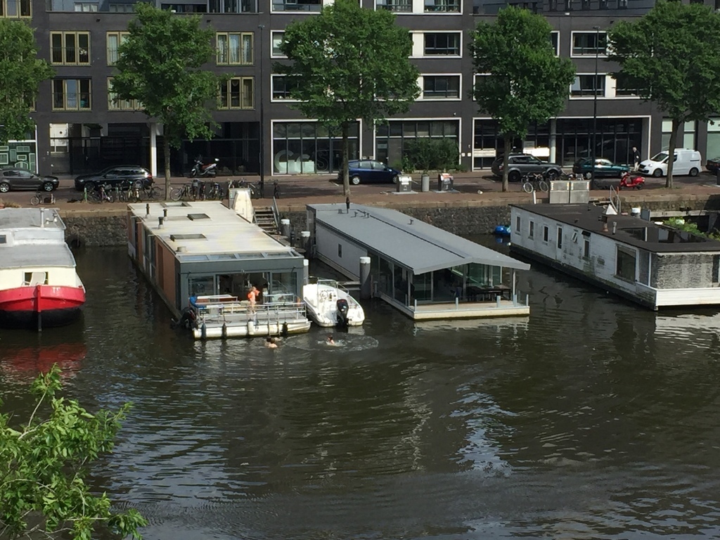 Swimming in the canal