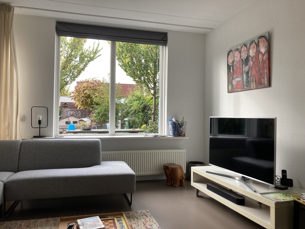 Living room view towards the garden