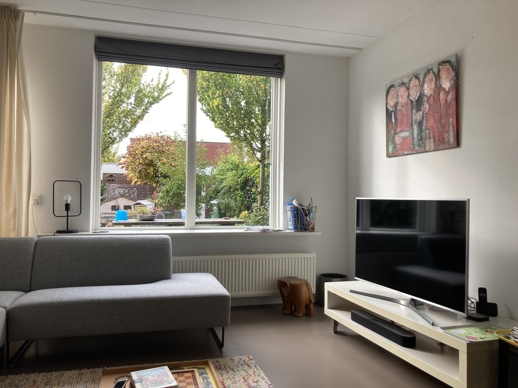 Living room view towards the garden