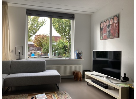 Living room view towards the garden