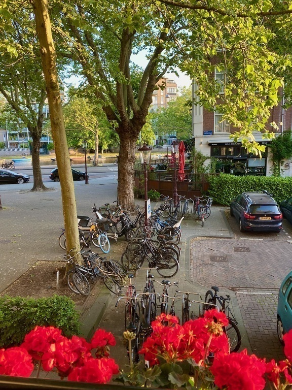 street view (with café Lola the Green Aardvark)