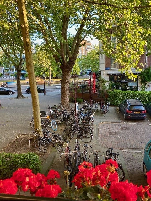 street view (with café Lola the Green Aardvark)