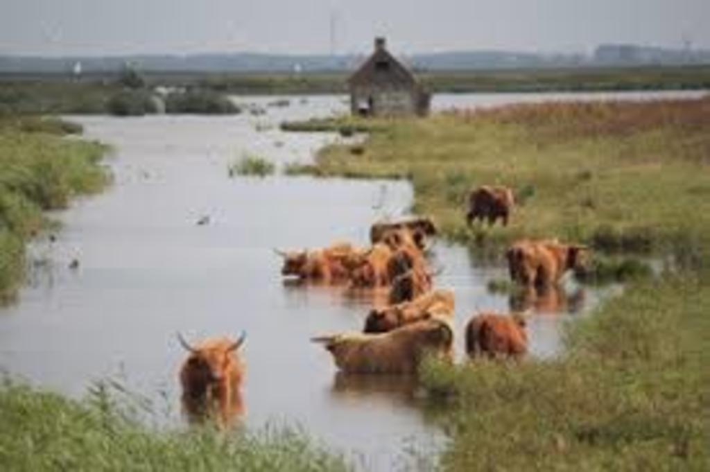 Tiengemeten Nature island 10 min.