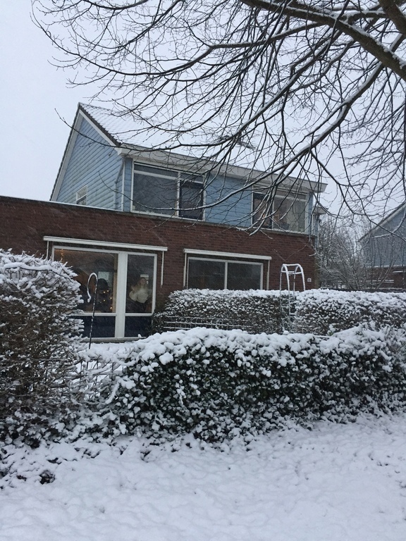 Front of the house winter