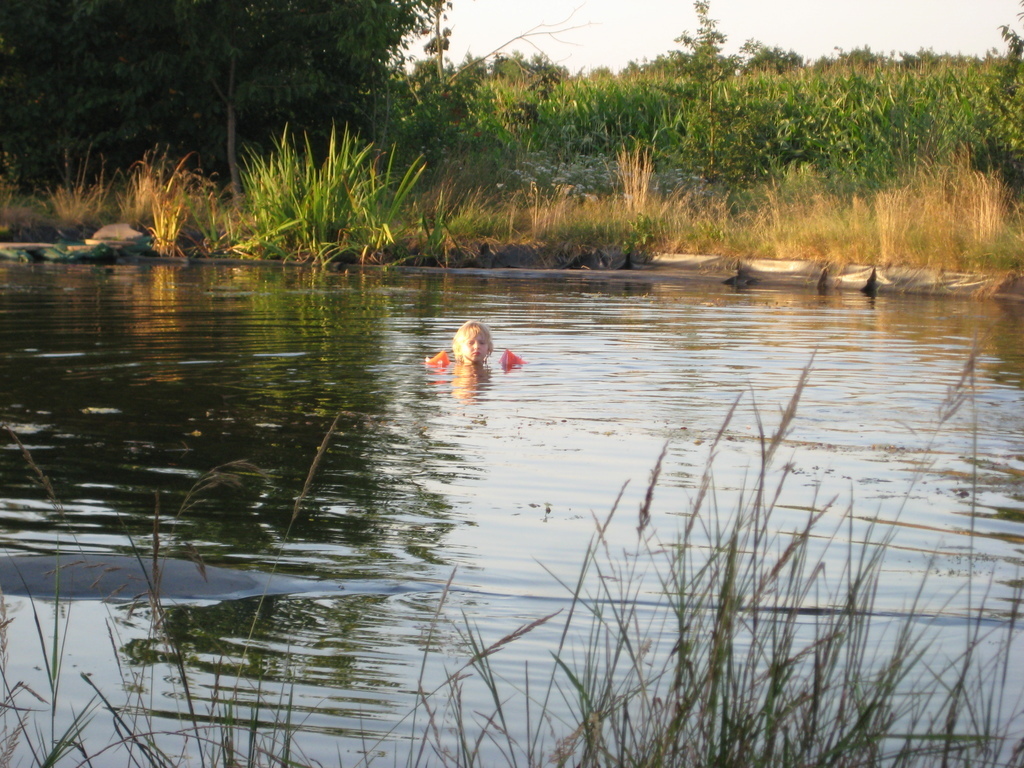 Natural swimming pond