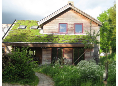 Ecologic house