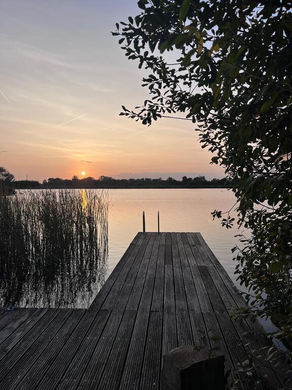 Mornings at our house