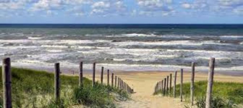 Beach at Bloemendaal