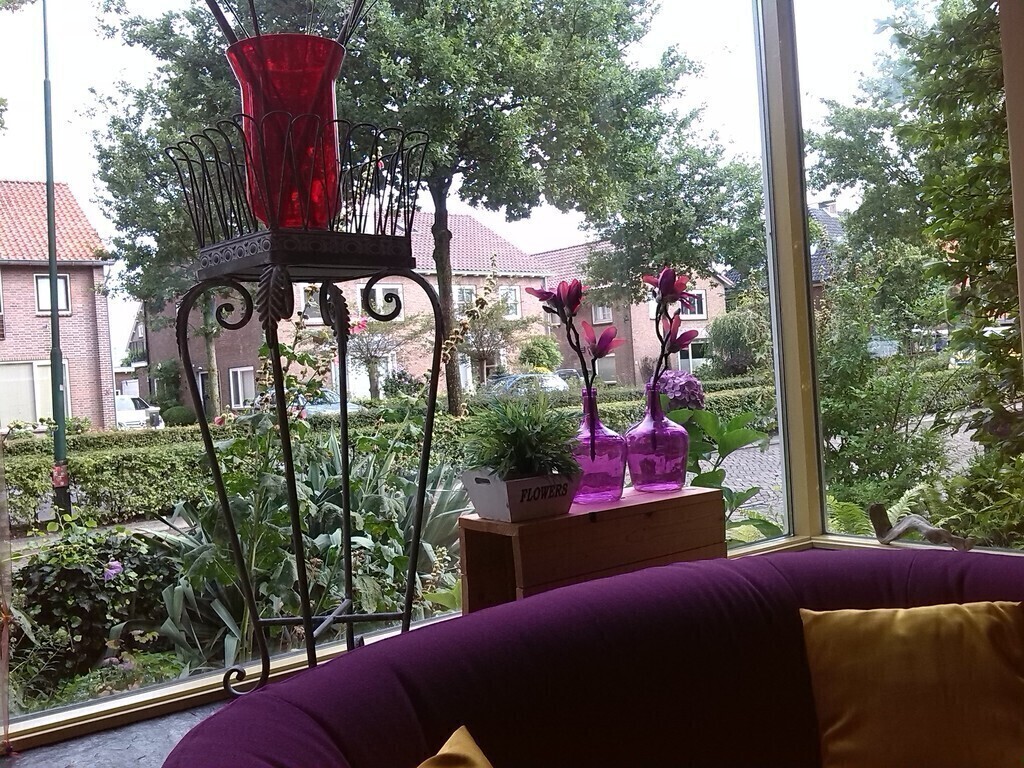 View from the sitting room