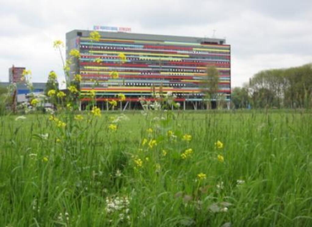 Utrecht, university building