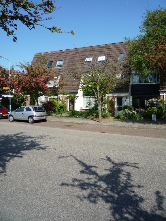 Our house is  comfortable. We have quiet neighbours.