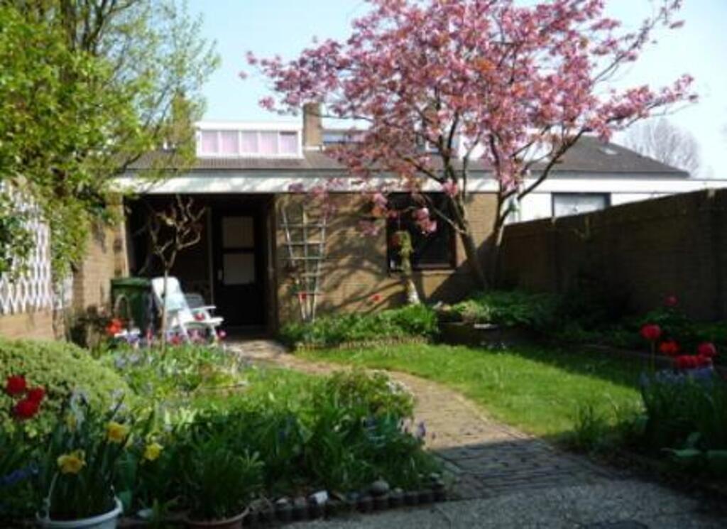 our garden behind the house.