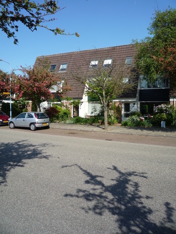 Our house is  comfortable. We have quiet neighbours.