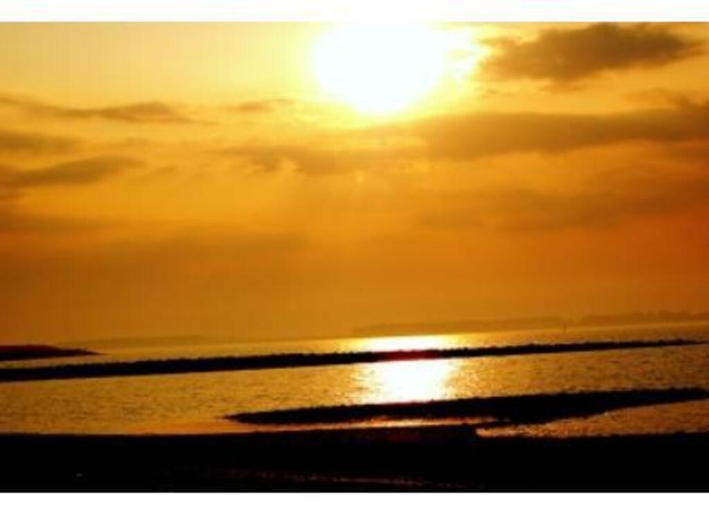 the Oosterschelde, the cleanest delta river in Europe