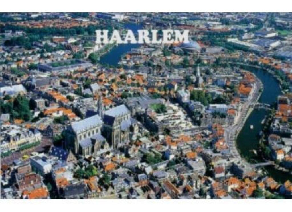 view on Haarlem