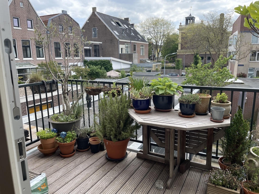 Small but cosy terrace