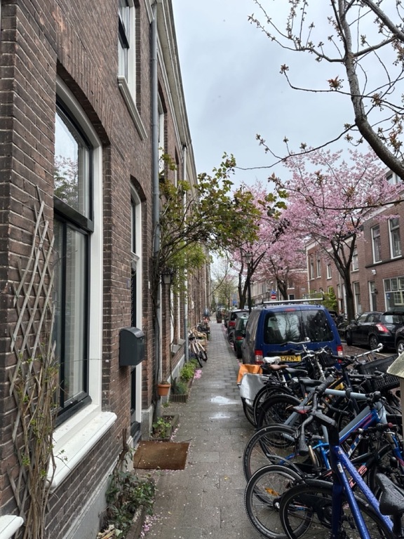 Our street and house in the old town