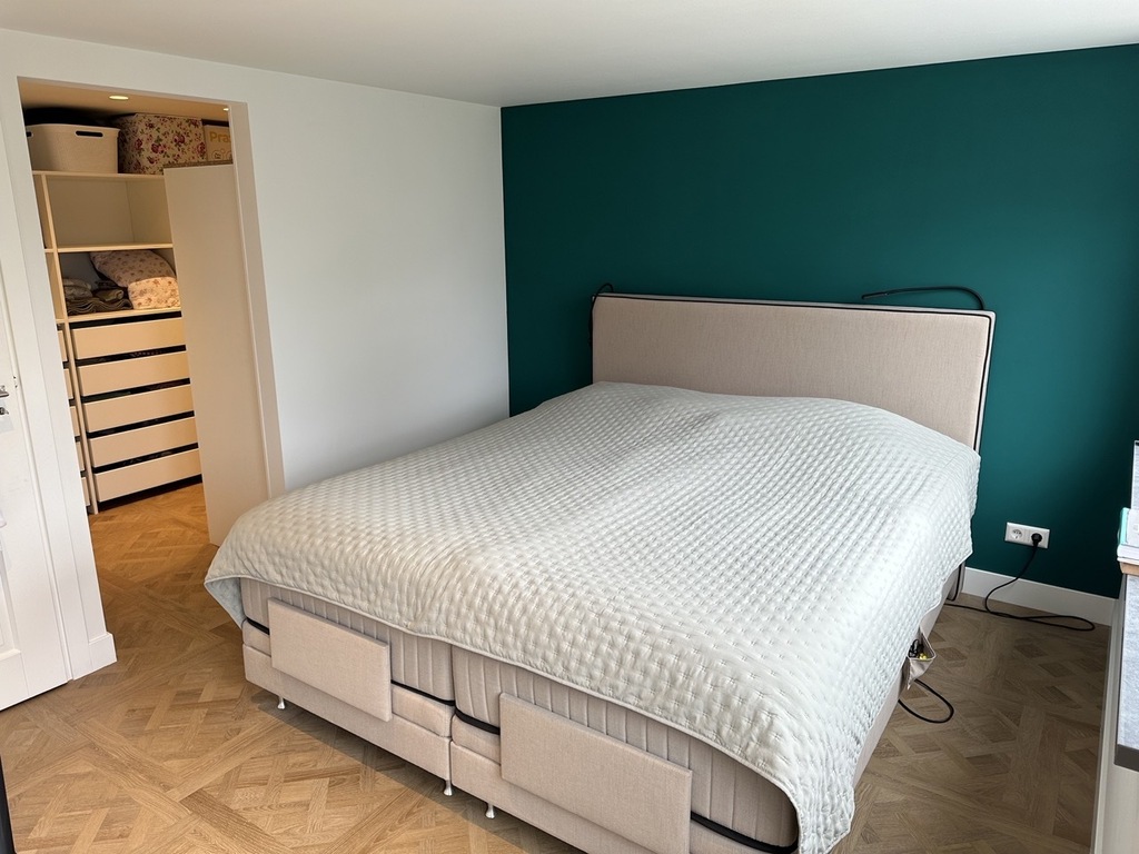 Master bedroom with walk-in closet and separate bathroom 