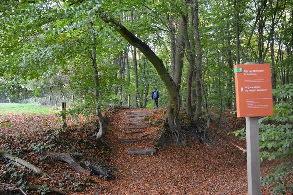 Hiking tracks in the forests near Nijmegen (15 km)