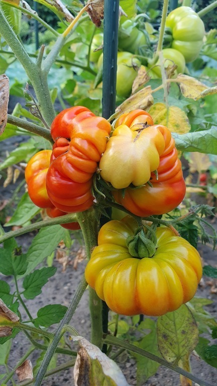 Please feel free to take if ready during your stay