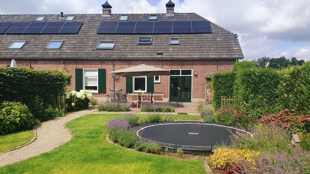 Back garden (June 2024)