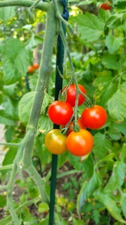 Please feel free to take if ready during your stay