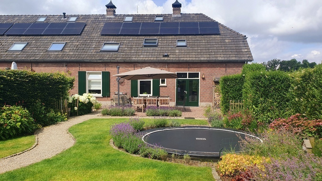 Back garden (June 2024)