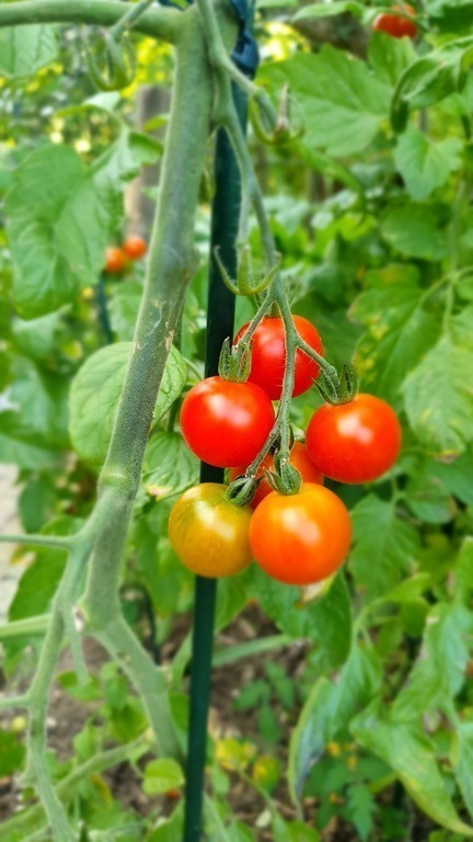 Please feel free to take if ready during your stay