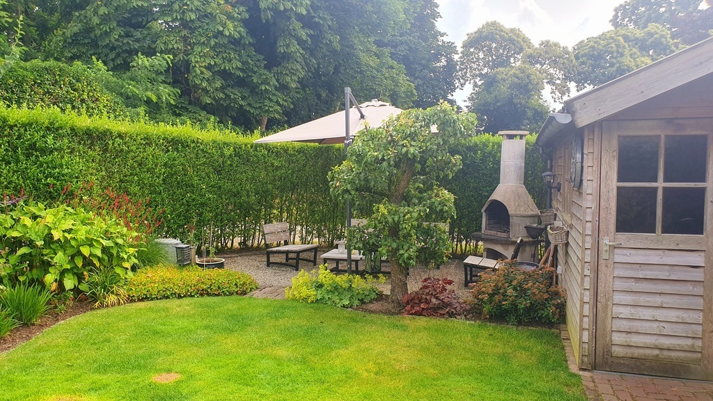 Back garden (June 2024)