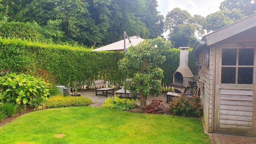 Back garden (June 2024)
