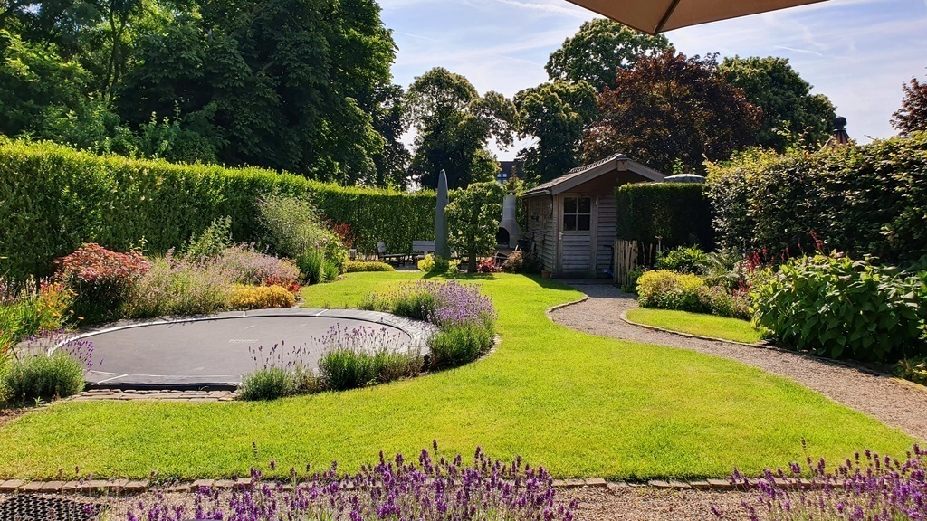 Back garden (June 2024)