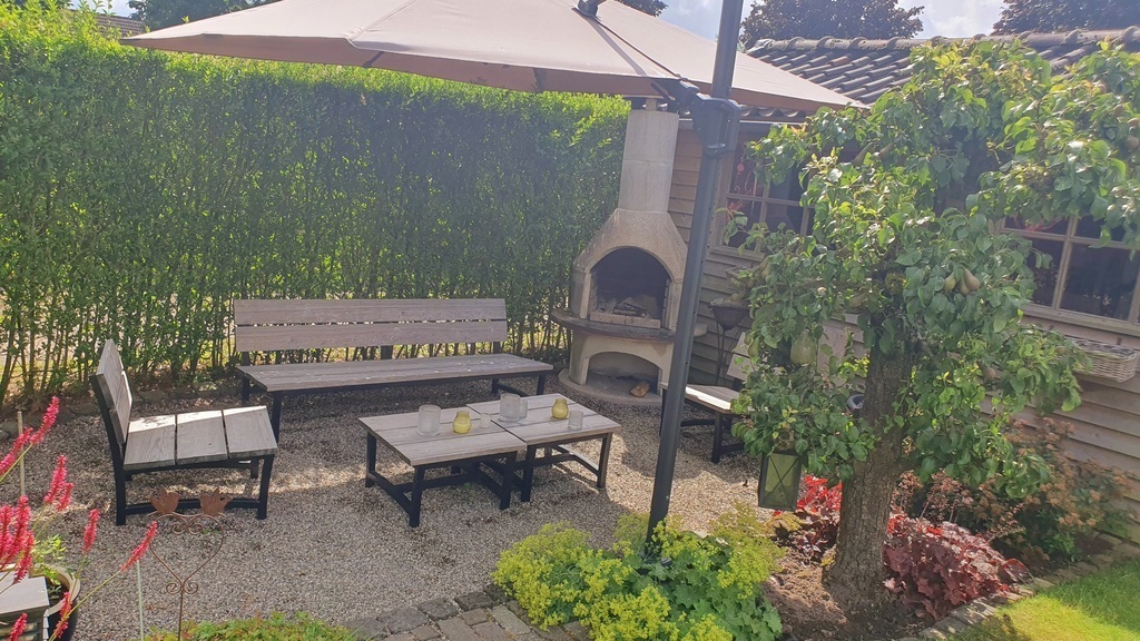 Back garden (June 2024)